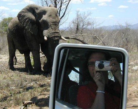 0 Elephant