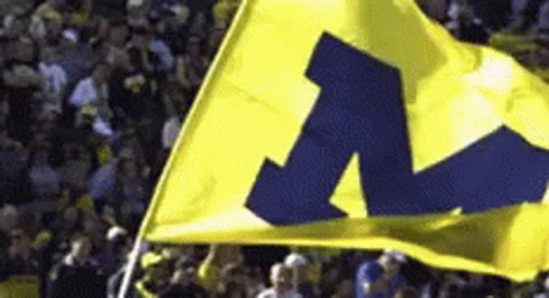 University Of Michigan GIFs | Tenor