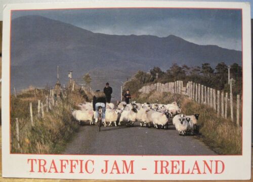 Irish Postcard TRAFFIC JAM IRELAND Sheep Bicycle Sanford John Hinde P&P 142  1990