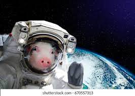 pigjpeg