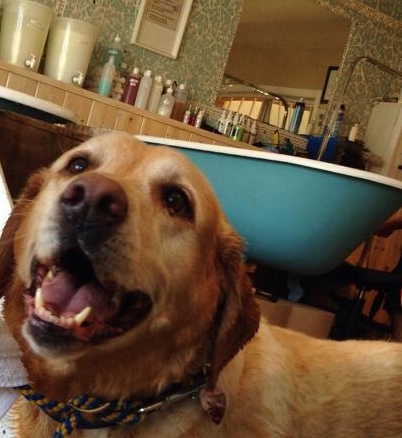 gus smiling