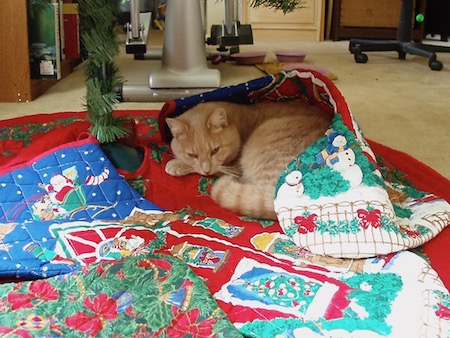 Cozy under the Christmas stocking