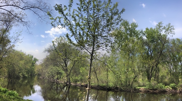 Riverbend in the spring