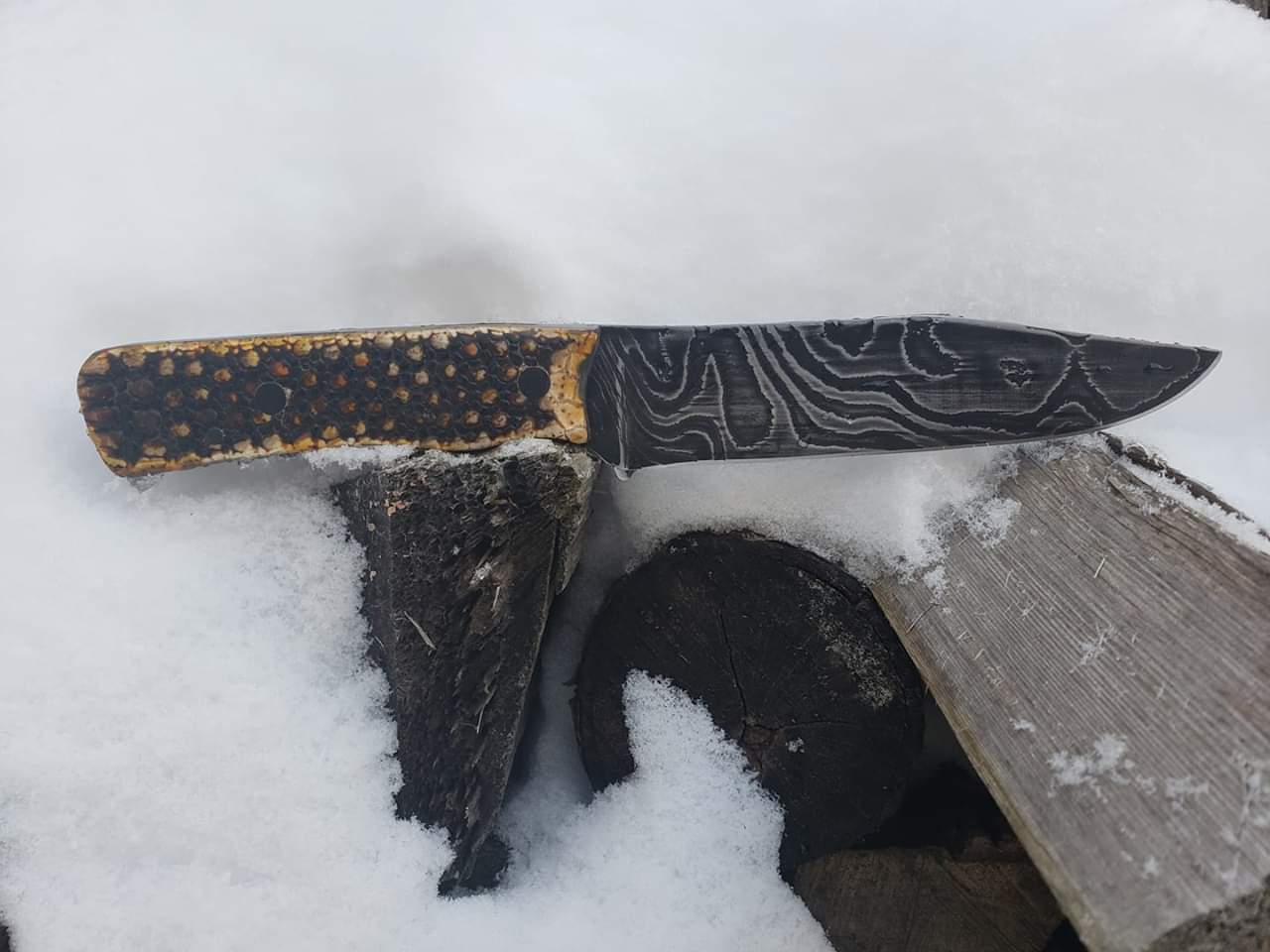 FB_IMG_1554415285183