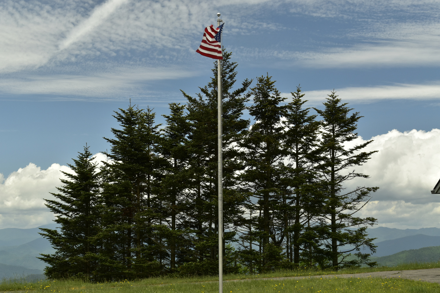 Flag
