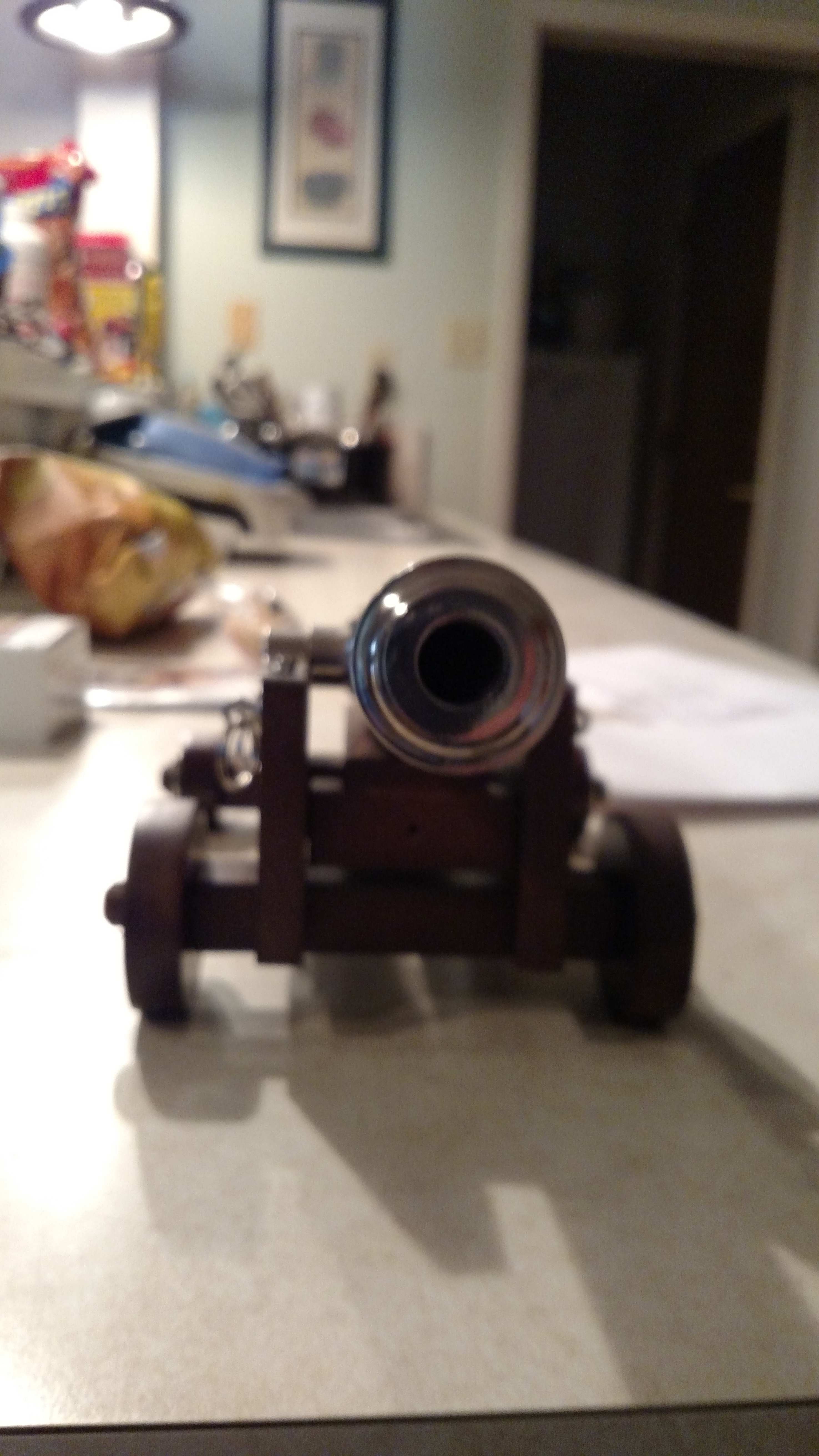 Front%20view%20of%20cannon