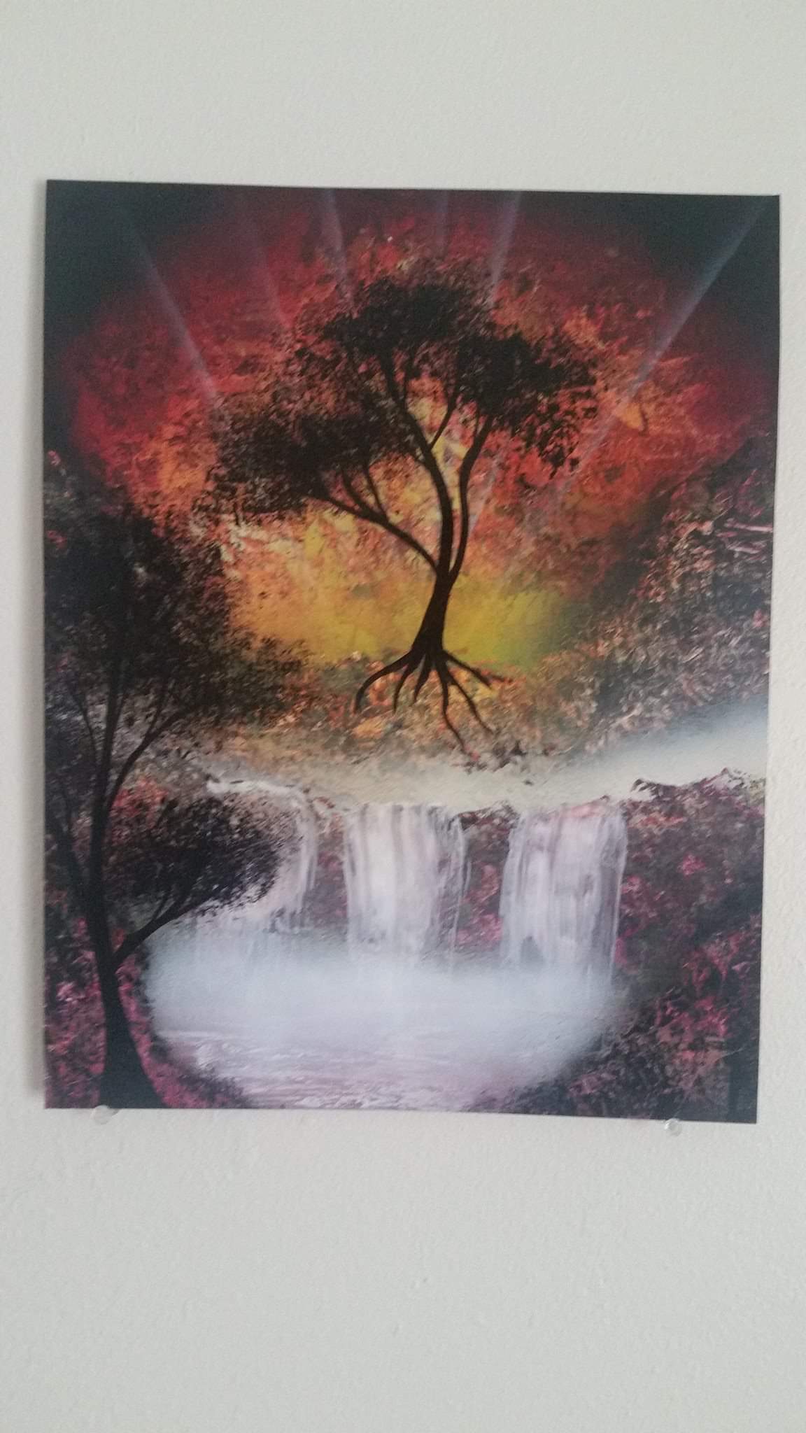 FB_IMG_1555298864672