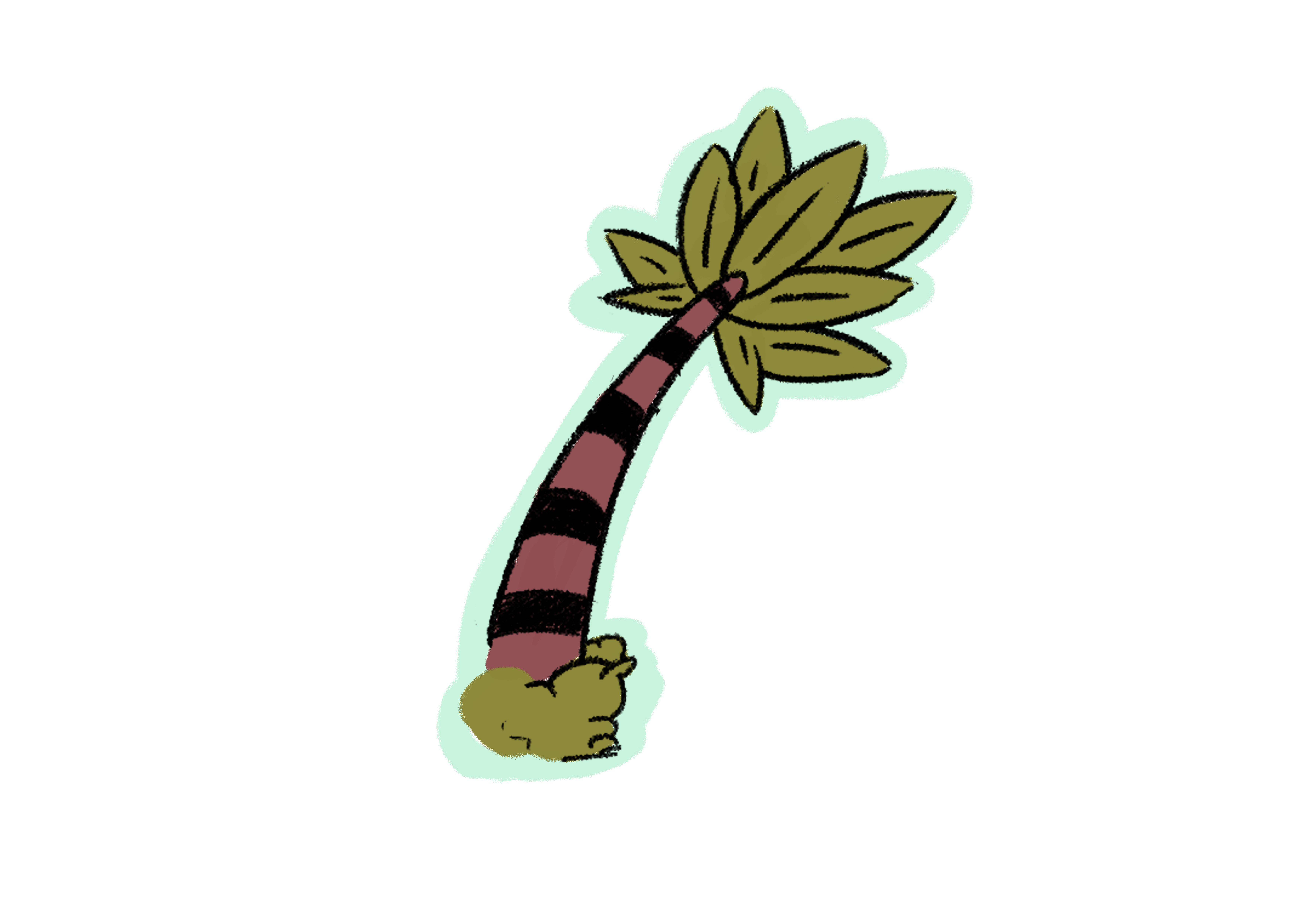 Palmera