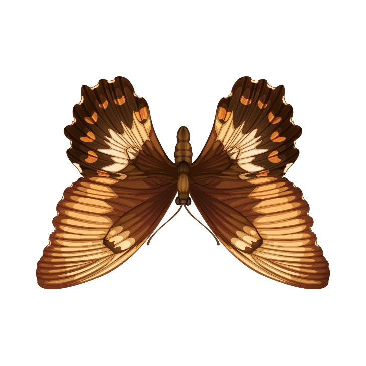 Mariposa 2