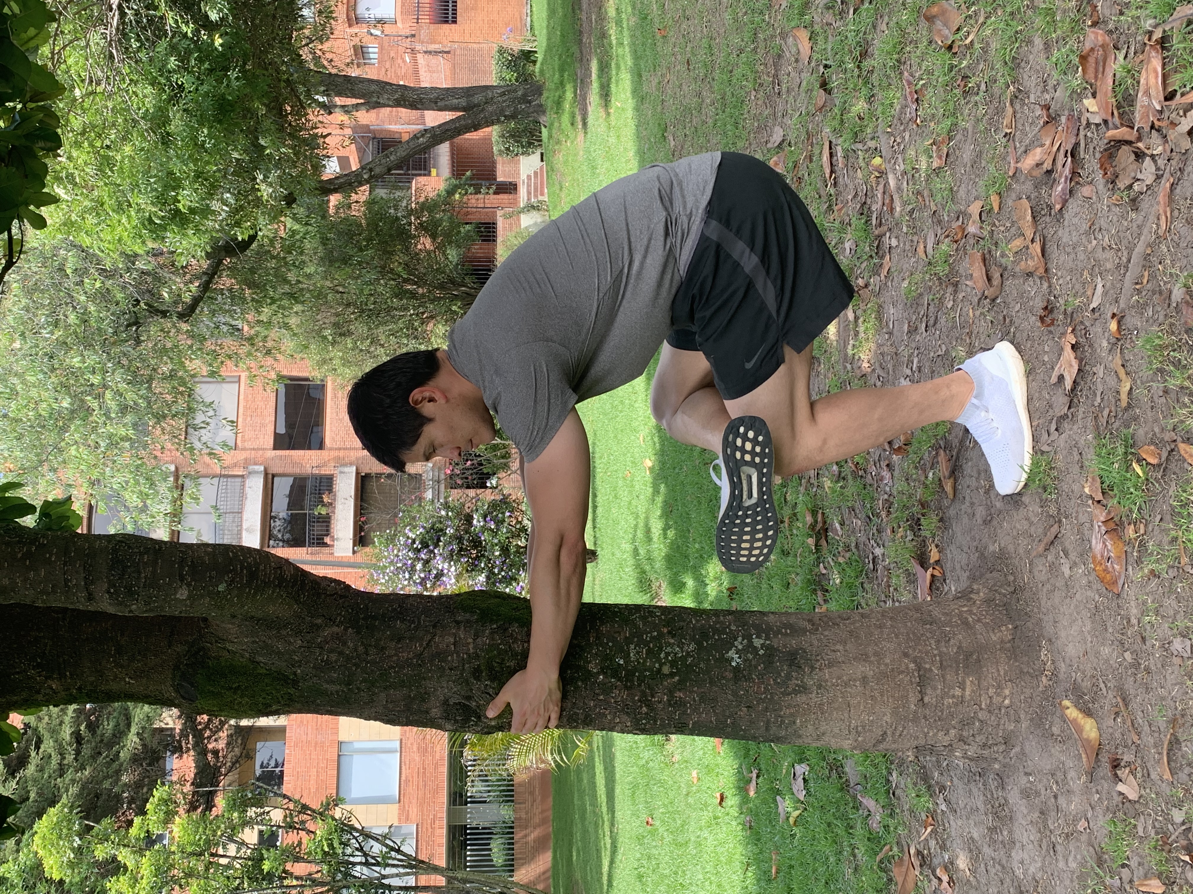 imagen de estiramiento