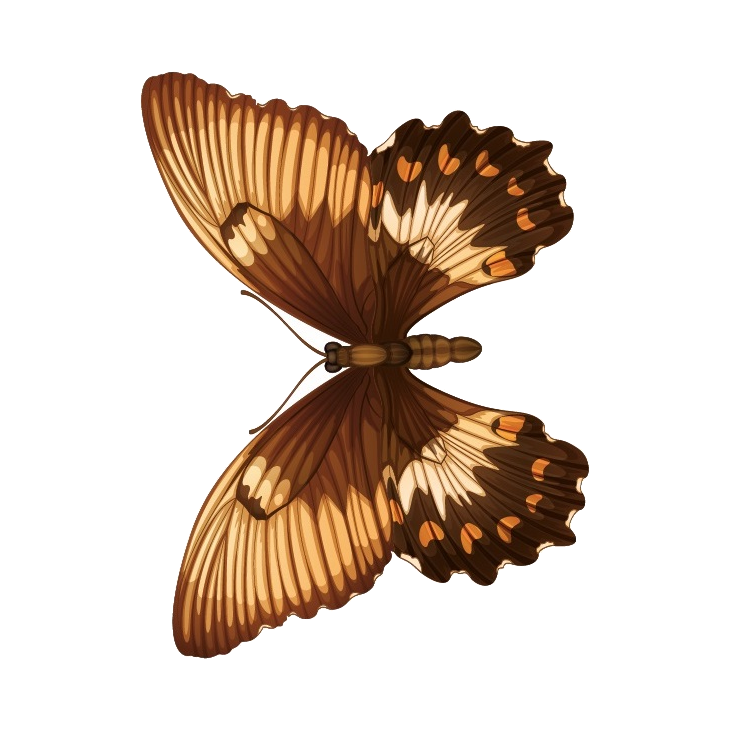 Mariposa 1