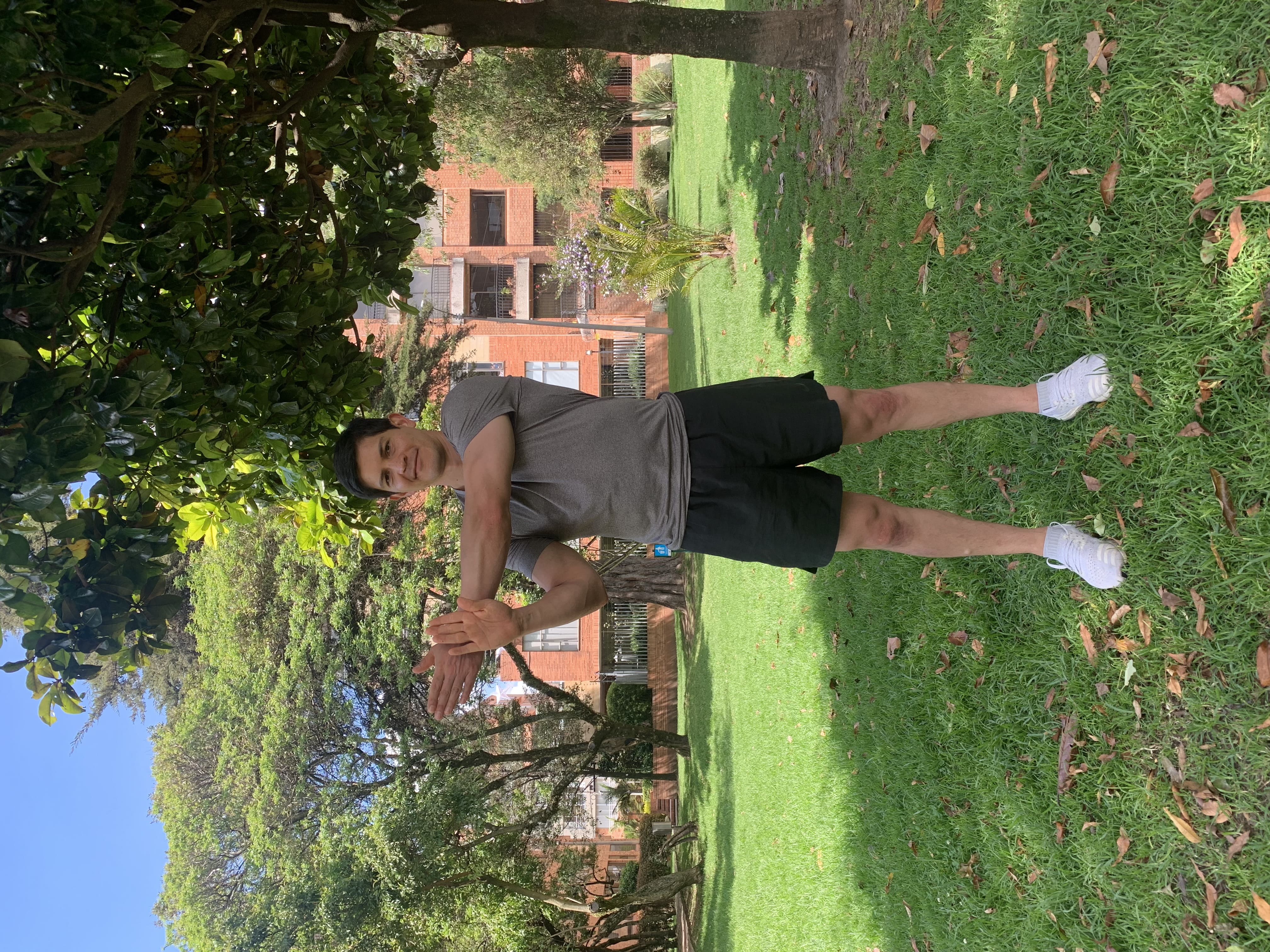 imagen de estiramiento