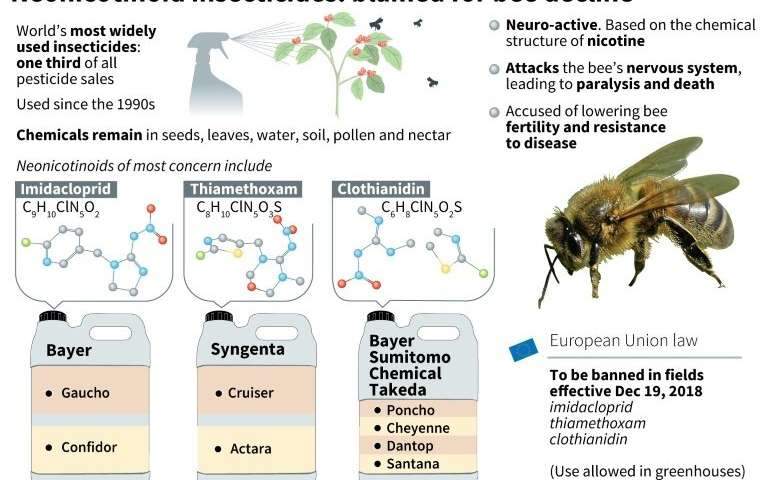 Neonicotionoid insecticides: blamed for bee decline