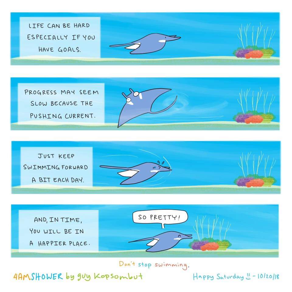 45740576_1138891846272882_4596209155315859456_n