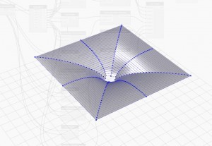 DMGL_Canopy_5